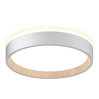 Светильник с подсветкой Citilux ETALON IP40 3000-4000-5500К(теплый-белый-холодный) CL750180