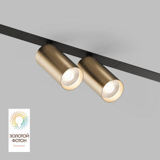 Акцентный светильник Denkirs SMART SPOT DOUBLE 2x9W DIM 3000K-6000K, матовое золото с черным DK8012-BG