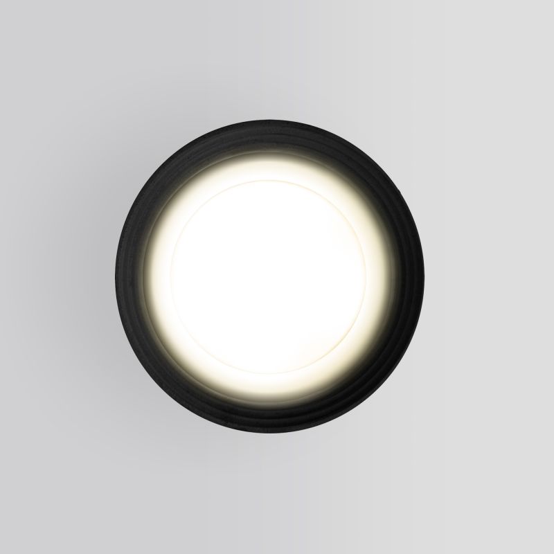 Уличный потолочный светильник Elektrostandard Light 2101 IP65 35128/H черный