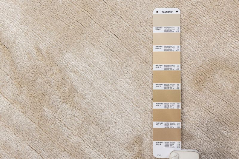 Индийский ковер из шёлка Carpet «SILK VEIL» PLAIN-G099(Round) 194 x 194 см фото 4