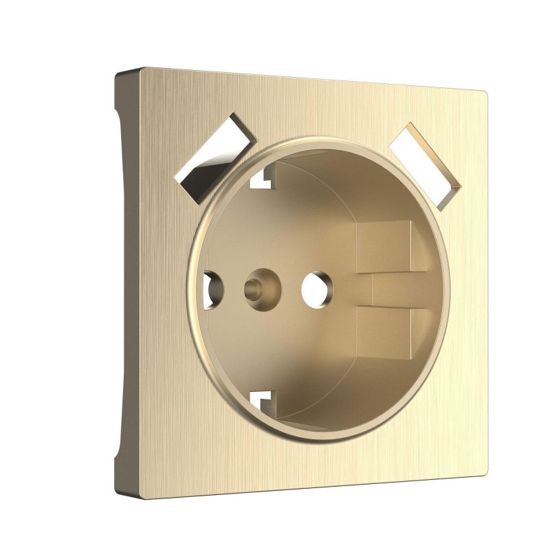 Накладка  для розетки USB (шампань рифленый) Werkel W1179510 фото 1