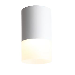 Светильник потолочный ST-Luce OTTU ST100.502.05