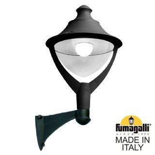 Уличный настенный светильник Fumagalli BEPPE черный, прозрачный P50.254.000.AXH27