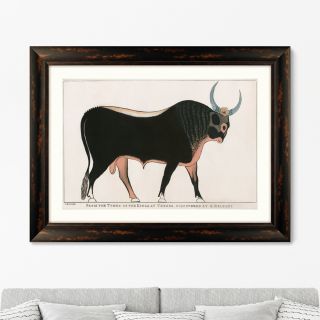 Репродукция картины в раме The Apis Bull, 1820г. ArtNoMore BD-2090819