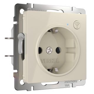 Умная встраиваемая розетка с заземлением с защитными шторками Werkel W1171603