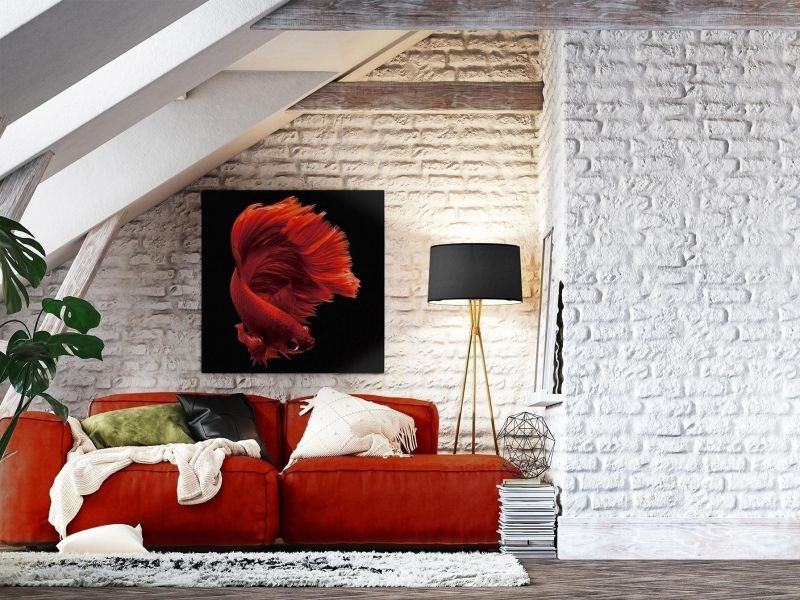 Фотография на стекле Rojo Siam 100x100 Schuller BD-3025578 фото 4