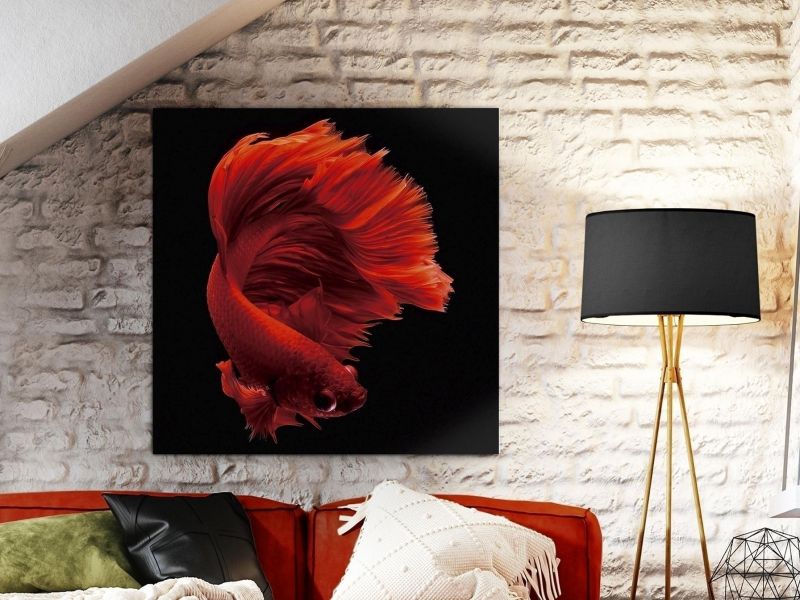 Фотография на стекле Rojo Siam 100x100 Schuller BD-3025578 фото 6