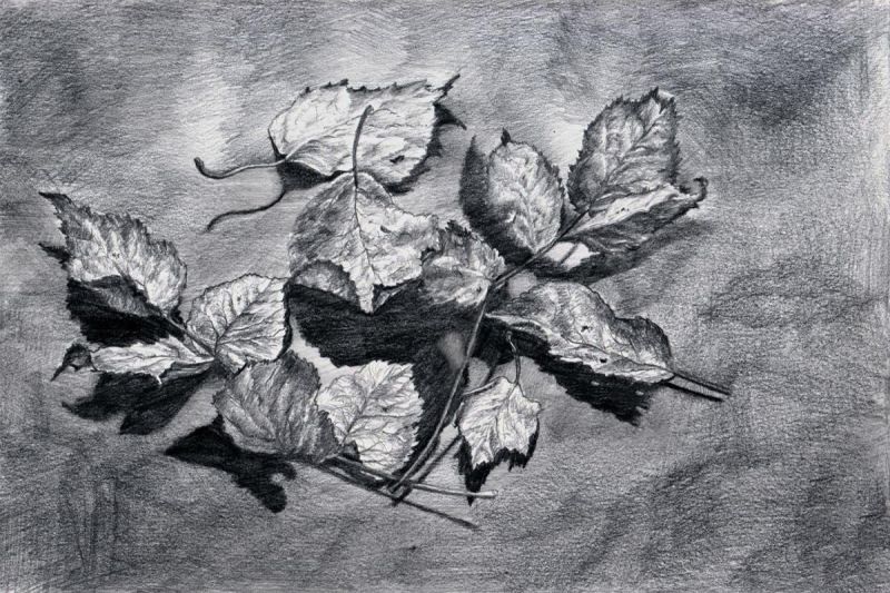 Картина "Сухие листья" Владимир Абаимов