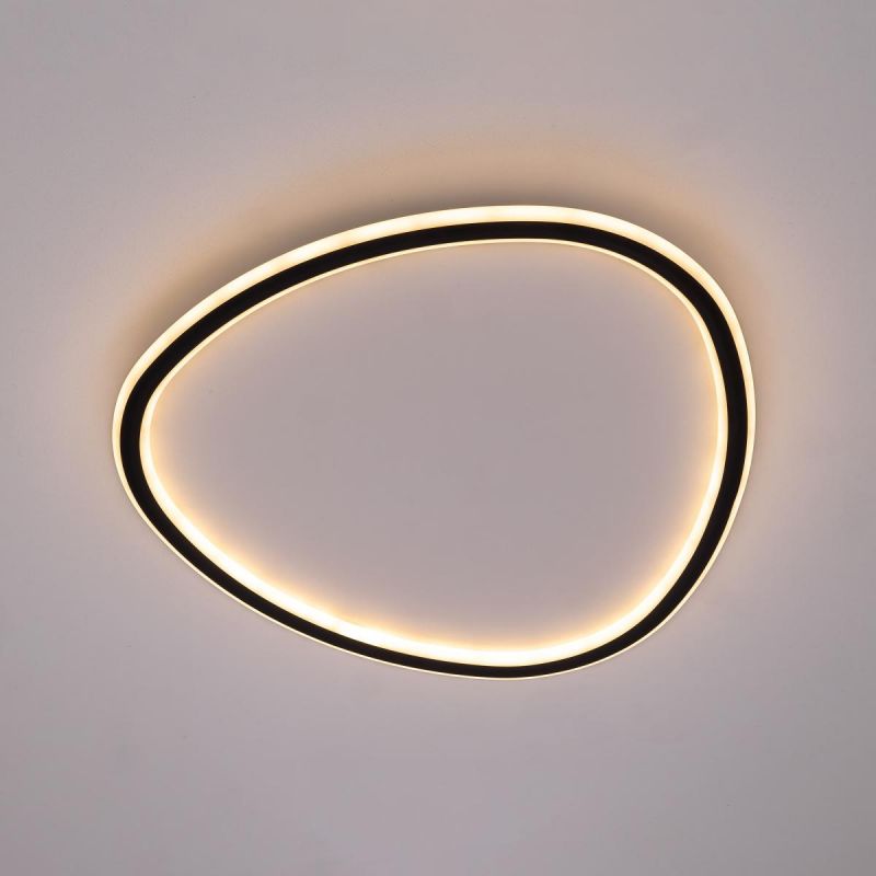 Люстра с пультом Citilux ТRIO 72W RGB LED 3000-5500 CL215B251E фото 2