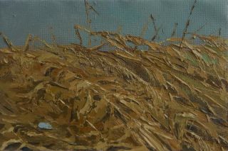 Картина "Сухие травы" 35x25 Головченко Алексей