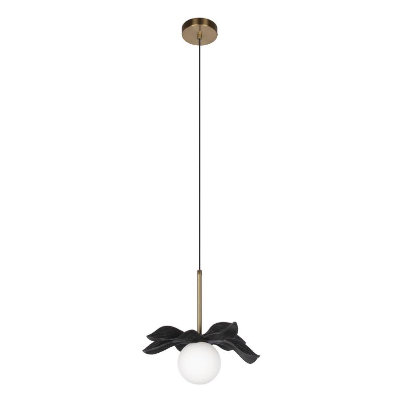 Подвесной светильник Loft It (Light for You) Monro 10213/A Black