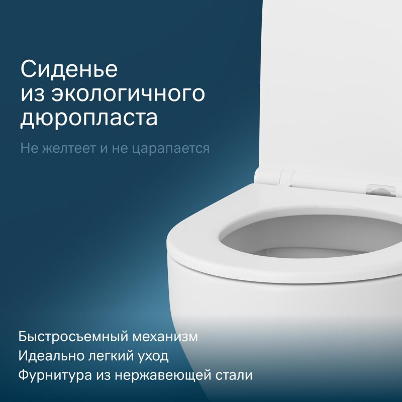 Подвесной унитаз AM.PM Spirit V2.0 C701700SC с микролифтом