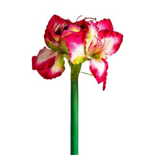 Цветок Vical AMARYLLIS цвета фуксии 170961