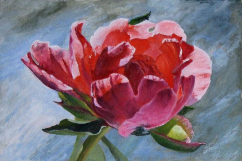 Картина "Розовый пион" 30x40 Галина Кудряшова-Табачковская фото 1