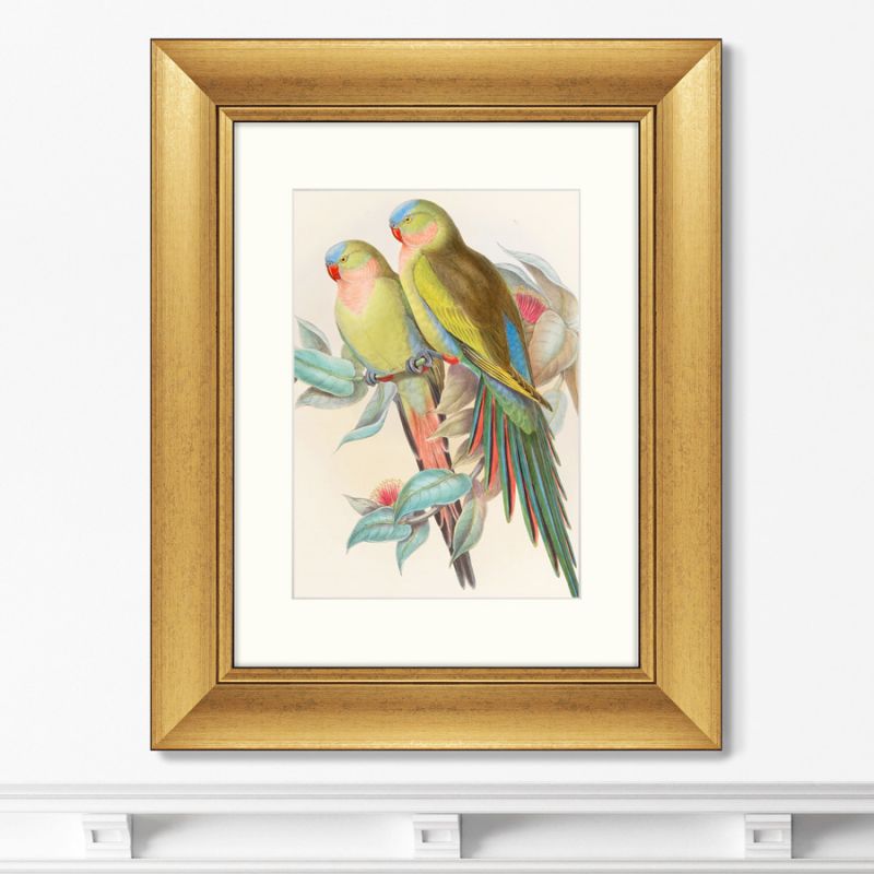 Картина Love parrots, 1850г. BD-1763492 фото 1