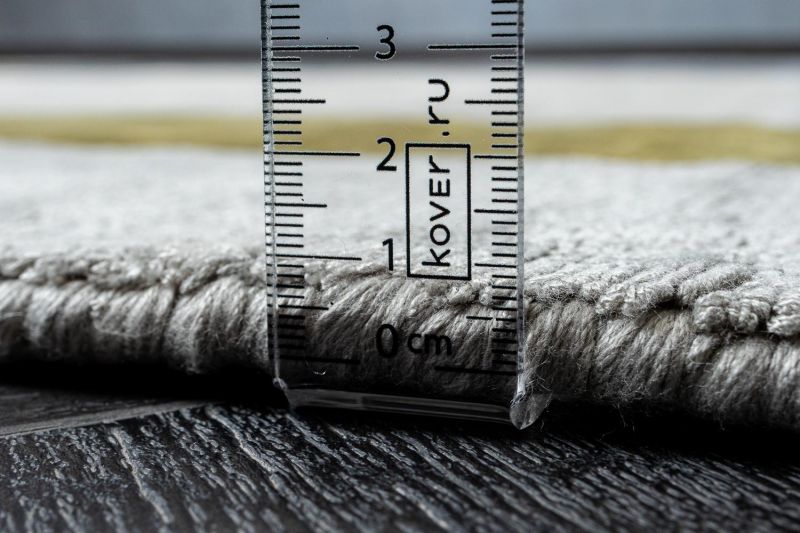 Индийский ковер из арт-шёлка Carpet «ROSERA» RSR05-SILVER-RAVEN 165 x 235 см фото 7