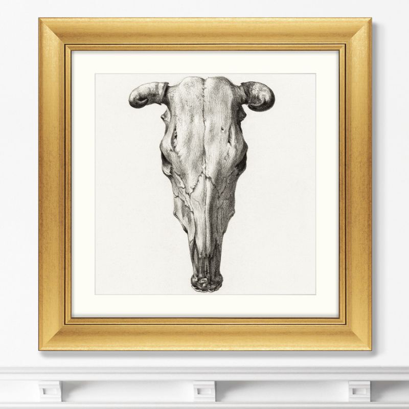Репродукция картины в раме Skull №II, 1816г. ArtNoMore BD-2090805 фото 1