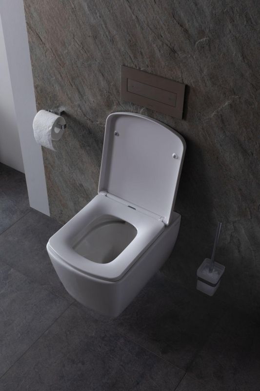 Чаша подвесного унитаза Allen Brau Liberty 4.33004.20 белый глянец фото 13