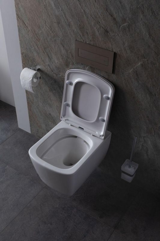 Чаша подвесного унитаза Allen Brau Liberty 4.33004.20 белый глянец фото 14