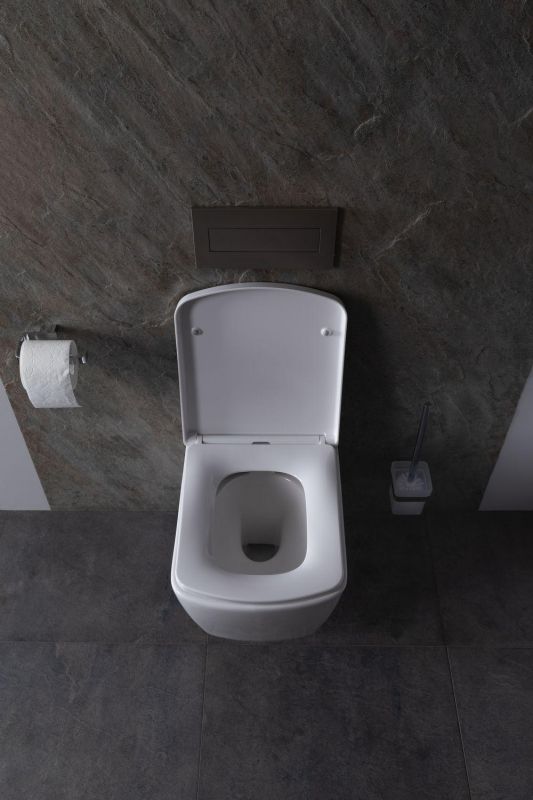 Чаша подвесного унитаза Allen Brau Liberty 4.33004.20 белый глянец фото 16