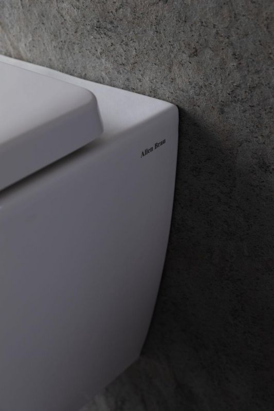 Чаша подвесного унитаза Allen Brau Liberty 4.33004.20 белый глянец фото 18