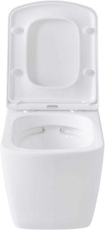 Чаша подвесного унитаза Allen Brau Liberty 4.33004.20 белый глянец фото 25