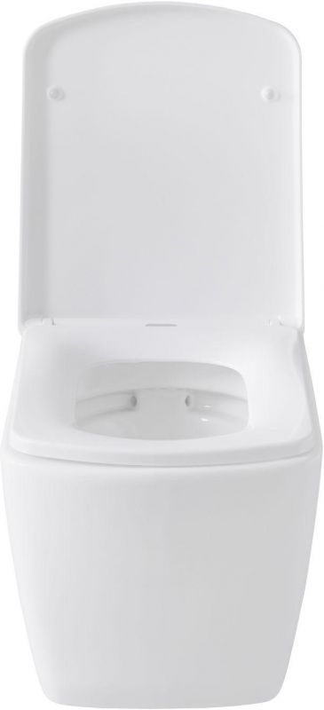 Чаша подвесного унитаза Allen Brau Liberty 4.33004.20 белый глянец фото 26
