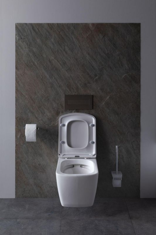 Чаша подвесного унитаза Allen Brau Liberty 4.33004.20 белый глянец фото 7