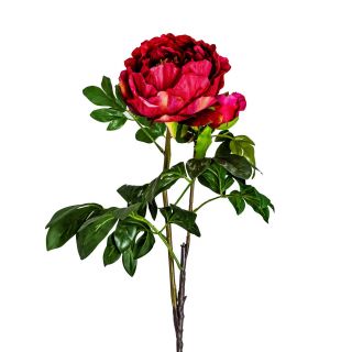 Цветок пиона Vical PEONIA красный 170995