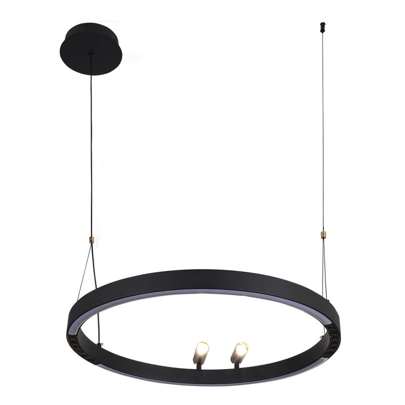 Подвесная люстра F-Promo Slinga 58W LED 3000-6500К (теплый, белый, холодный) 4474-1P фото 2