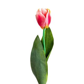 Цветок Vical TULIPAN розовый 170989