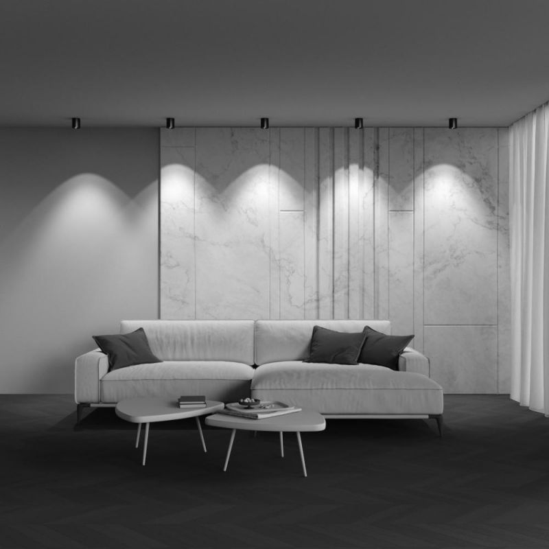 Потолочный светильник Maytoni Alfa LED 4000К(белый) 12W C064CL-12W4K-RD-B фото 11