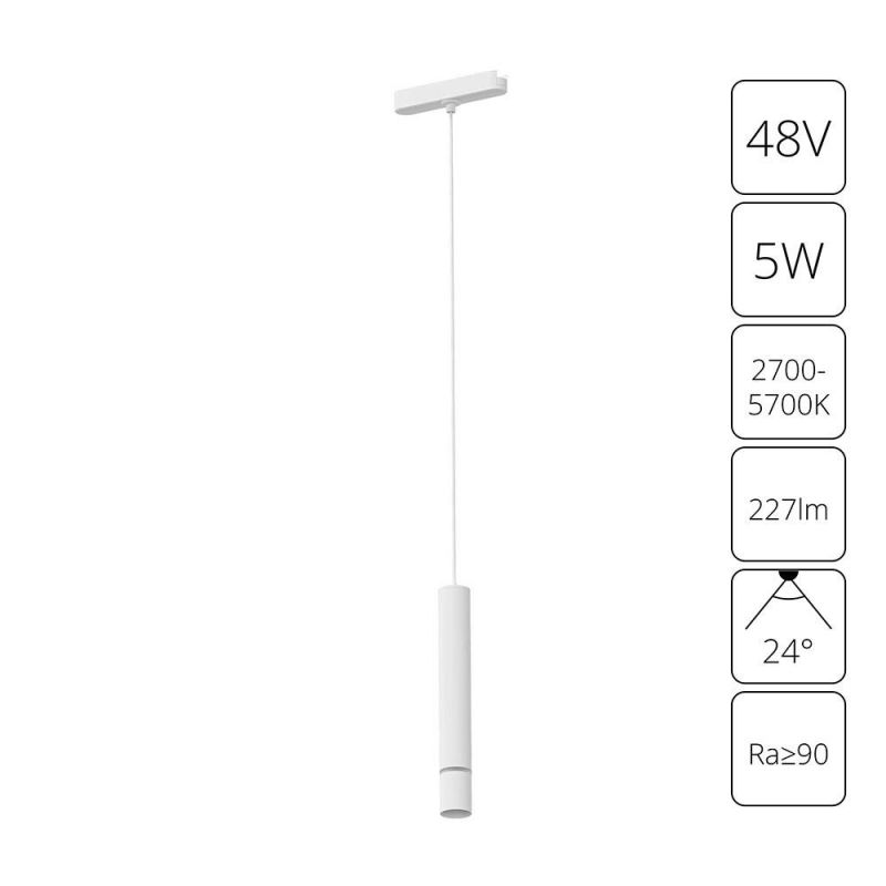 Магнитный трековый светильник Arte Lamp RAPID A2959PL-1WH фото 1