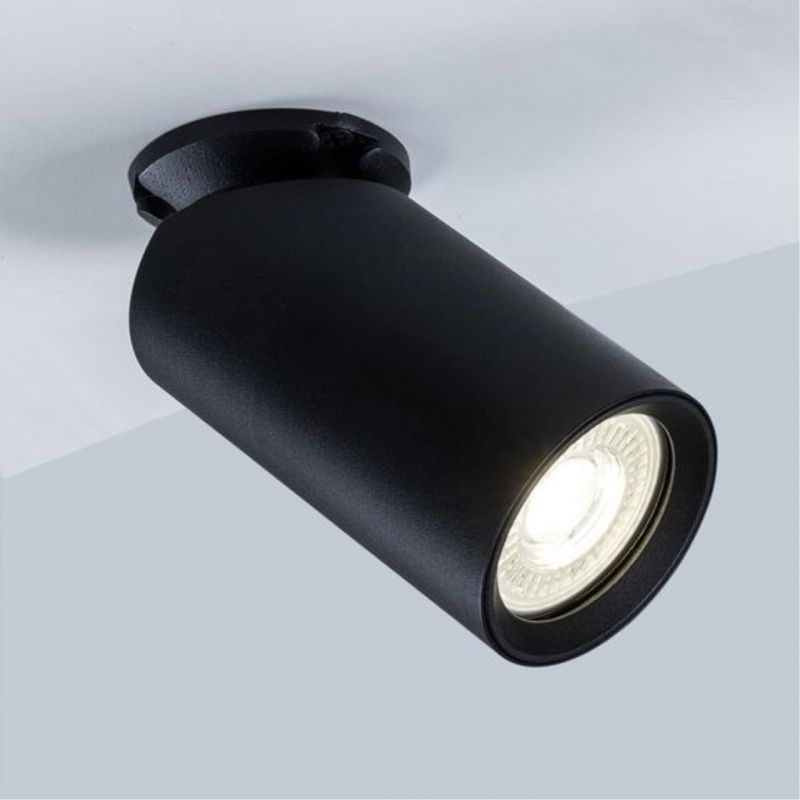 Светильник потолочный Arte Lamp Nodo A3213PL-1BK