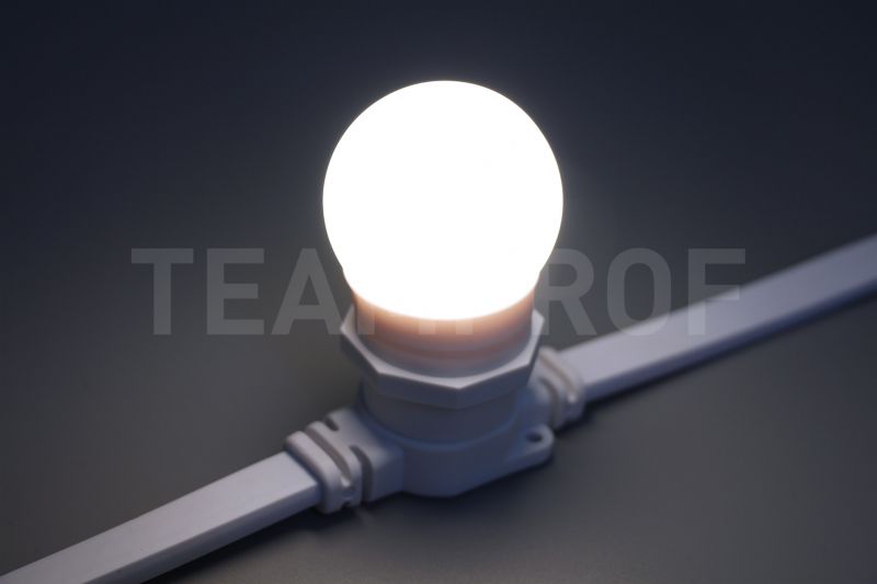 Лампа для Белт-лайта Teamprof Е27, 2 Вт TPF-B-E27-G45-2W-W