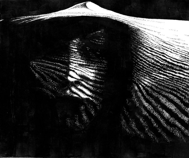 Картина "Женщина в песках 2 (Кобо Абэ)" Владимир Абаимов