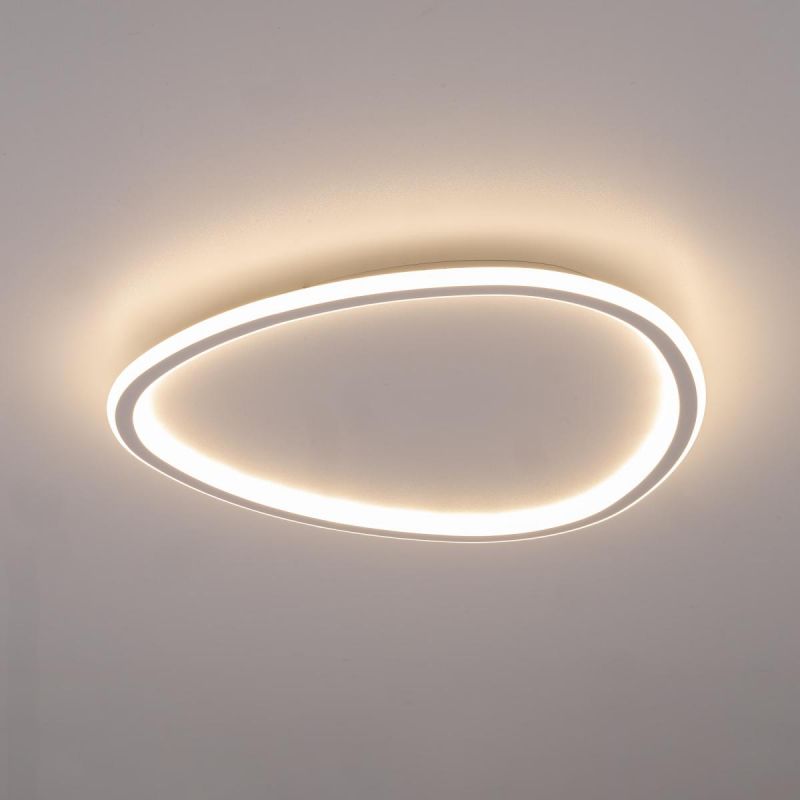 Люстра с пультом Citilux ТRIO 72W RGB LED 3000-5500 CL215B250E фото 12