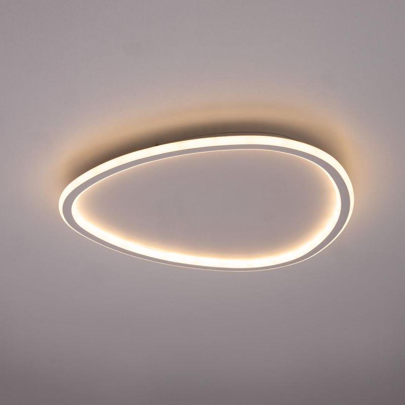 Люстра с пультом Citilux ТRIO 72W RGB LED 3000-5500 CL215B250E фото 13