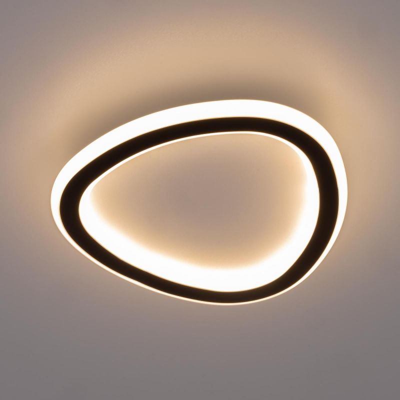 Светильник светодиодный Citilux ТRIO 18W 3000-5500 CL215B221 фото 3