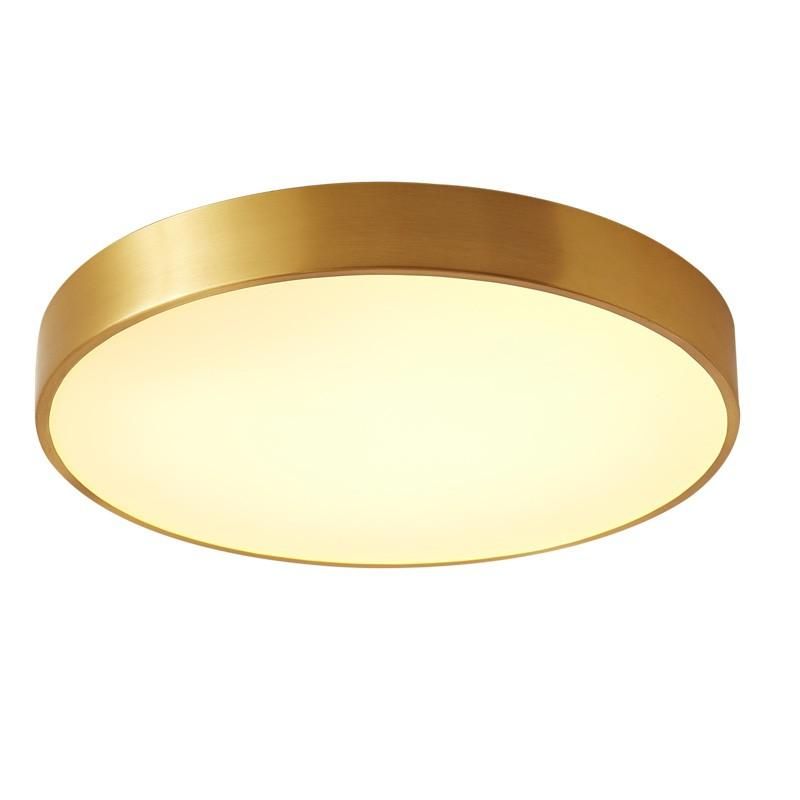 Потолочный светильник Belfast Devon LED 3000К 24W 3395-3 BR MB фото 1