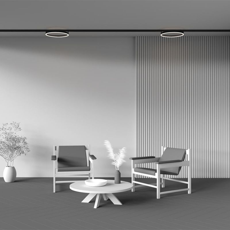 Трековый светильник Maytoni Rim LED теплый свет (3000К) 24W TR227-2-24W3K-B фото 6