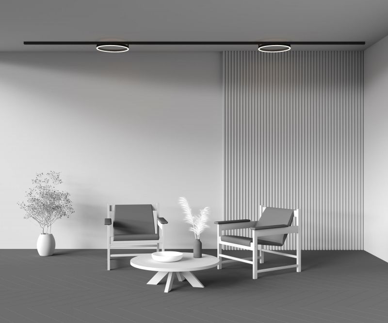 Трековый светильник Maytoni Rim LED теплый свет (3000К) 24W TR227-2-24W3K-B фото 9
