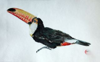 Картина "Большой Тукан (Ramphastos Toco)" Николай Мишуков