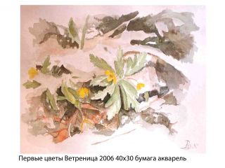 Картина "Первые цветы Ветреница" Александр Русляков