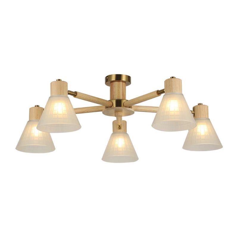 Светильник потолочный Arte Lamp MELEPH A4096PL-5BR