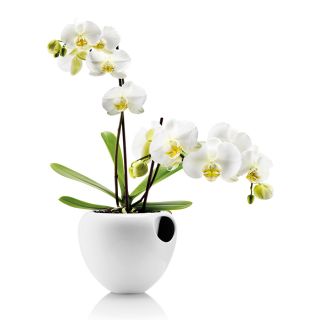 Горшок для орхидеи Eva Solo Orchid pot BD-1525136