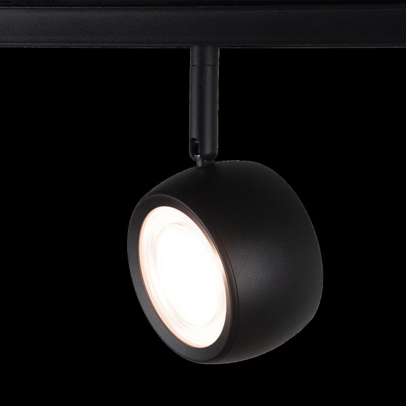 Трековый светильник Loft It (Light for You) Tech T034-10