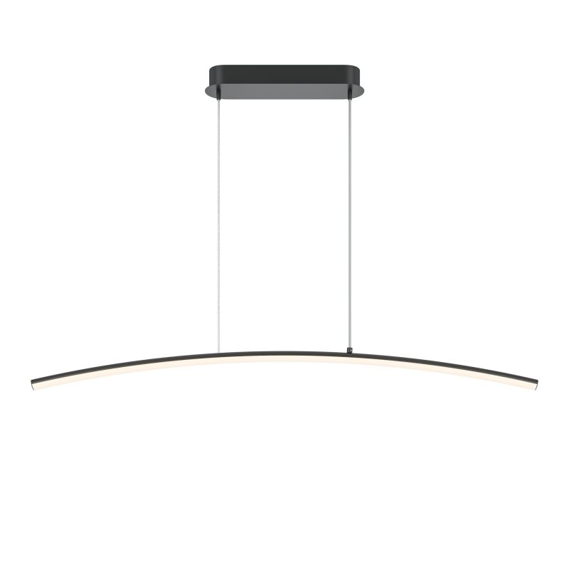 Подвесной светильник Maytoni Light Reflection 220-240V IP20 3000K MOD243PL-L18BK фото 1