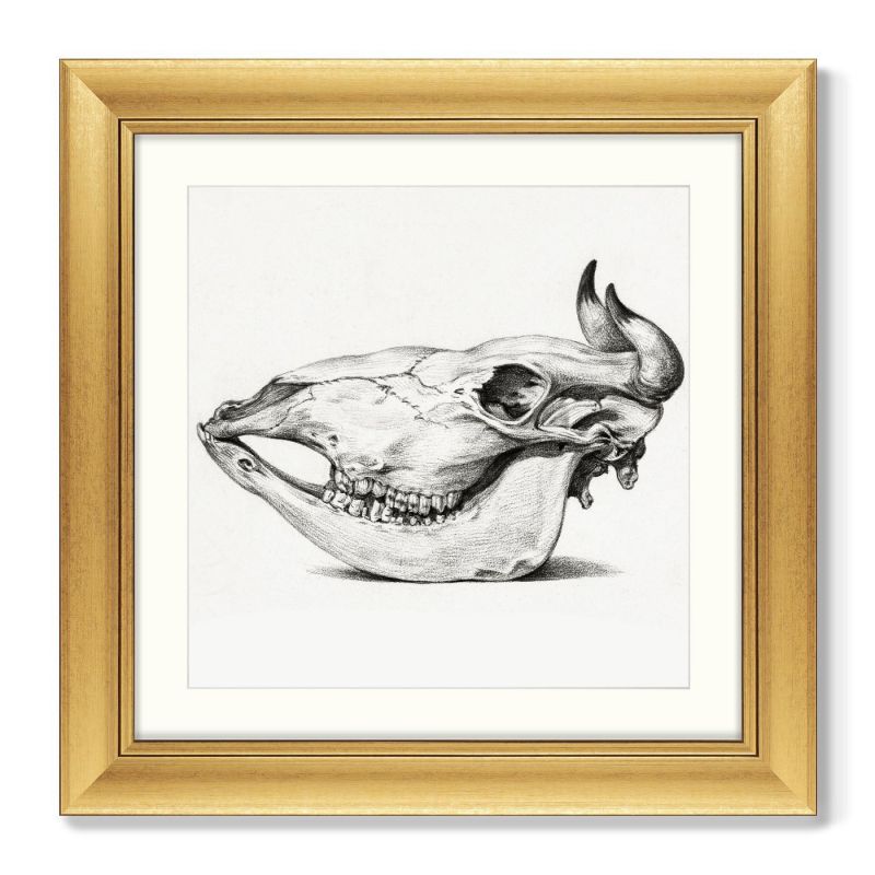 Репродукция картины в раме Skull №I, 1816г. ArtNoMore BD-2090806 фото 2