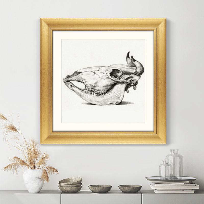 Репродукция картины в раме Skull №I, 1816г. ArtNoMore BD-2090806 фото 3